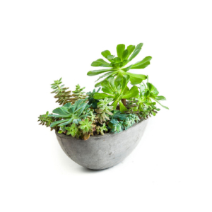 Repose Yano Planter, Large