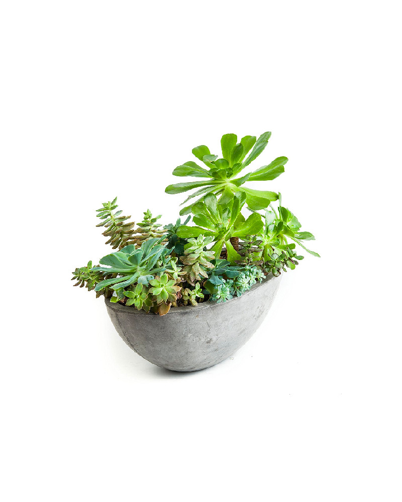 Repose Yano Planter, Large